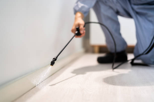 Licensed Pest Control service in Flint, MI - Show Me Pest Control