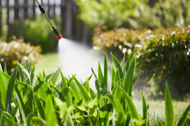 24/7 Emergency Mosquito Control experts in Flint, MI