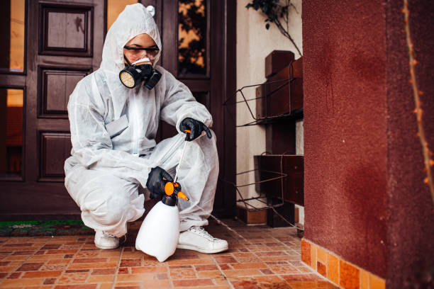 Reliable Mosquito Control contractor in Flint, MI by Show Me Pest Control