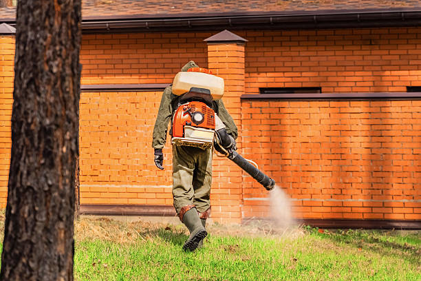 Top rated local Mosquito Control specialists in Flint, MI